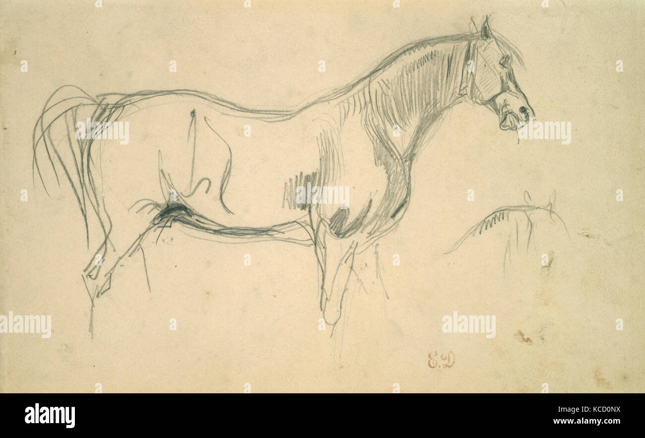 Studies of a Horse in Profile, Eugène Delacroix, 1823–30 Stock Photo