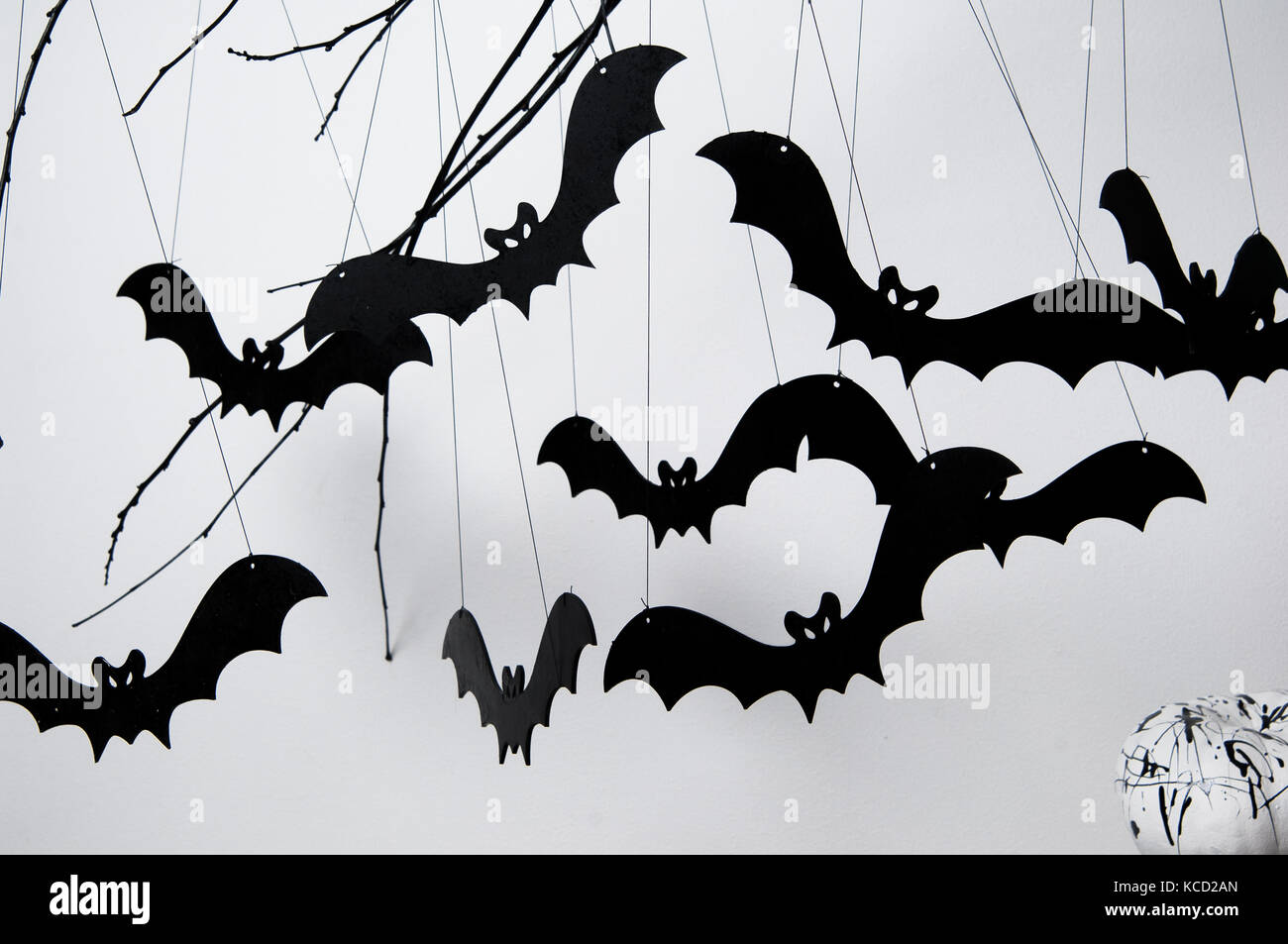halloween with black bats and a pumpkin on a white background Stock ...