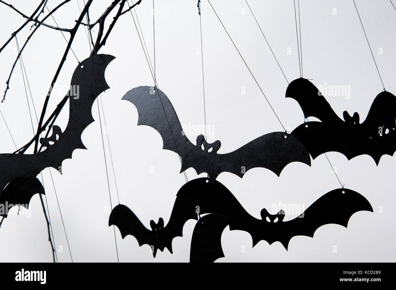halloween silhouette of many black bats on a white background Stock ...