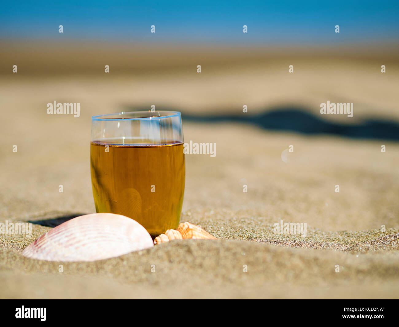 glass of tea with shells on summer beach Stock Photo