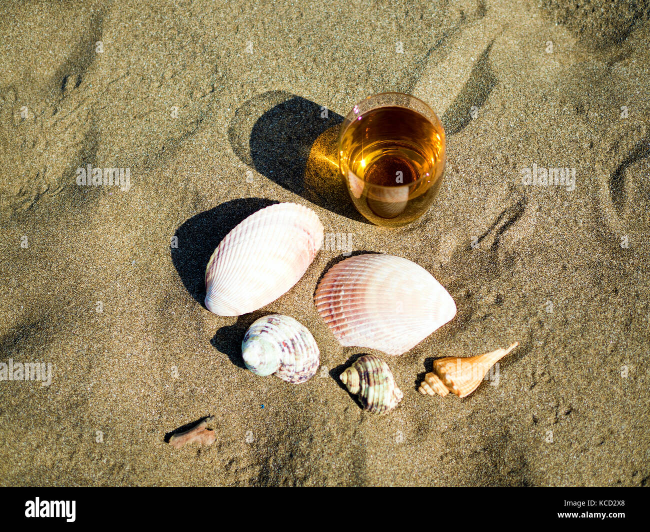 top view of glass of tea with shells on summer beach Stock Photo