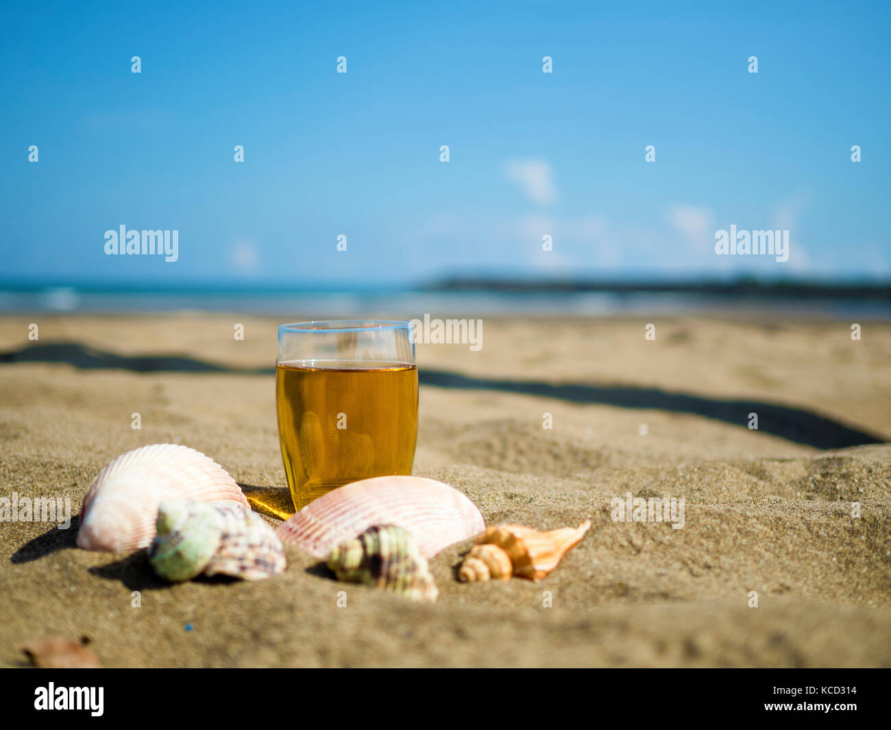 glass of tea with shells on summer beach Stock Photo