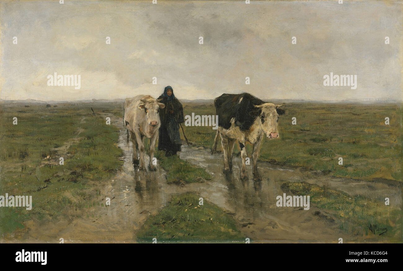 Changing Pasture, ca. 1880s, Oil on canvas, 24 x 39 5/8 in. (61 x 100.6 cm), Paintings, Anton Mauve (Dutch, Zaandam 1838–1888 Stock Photo