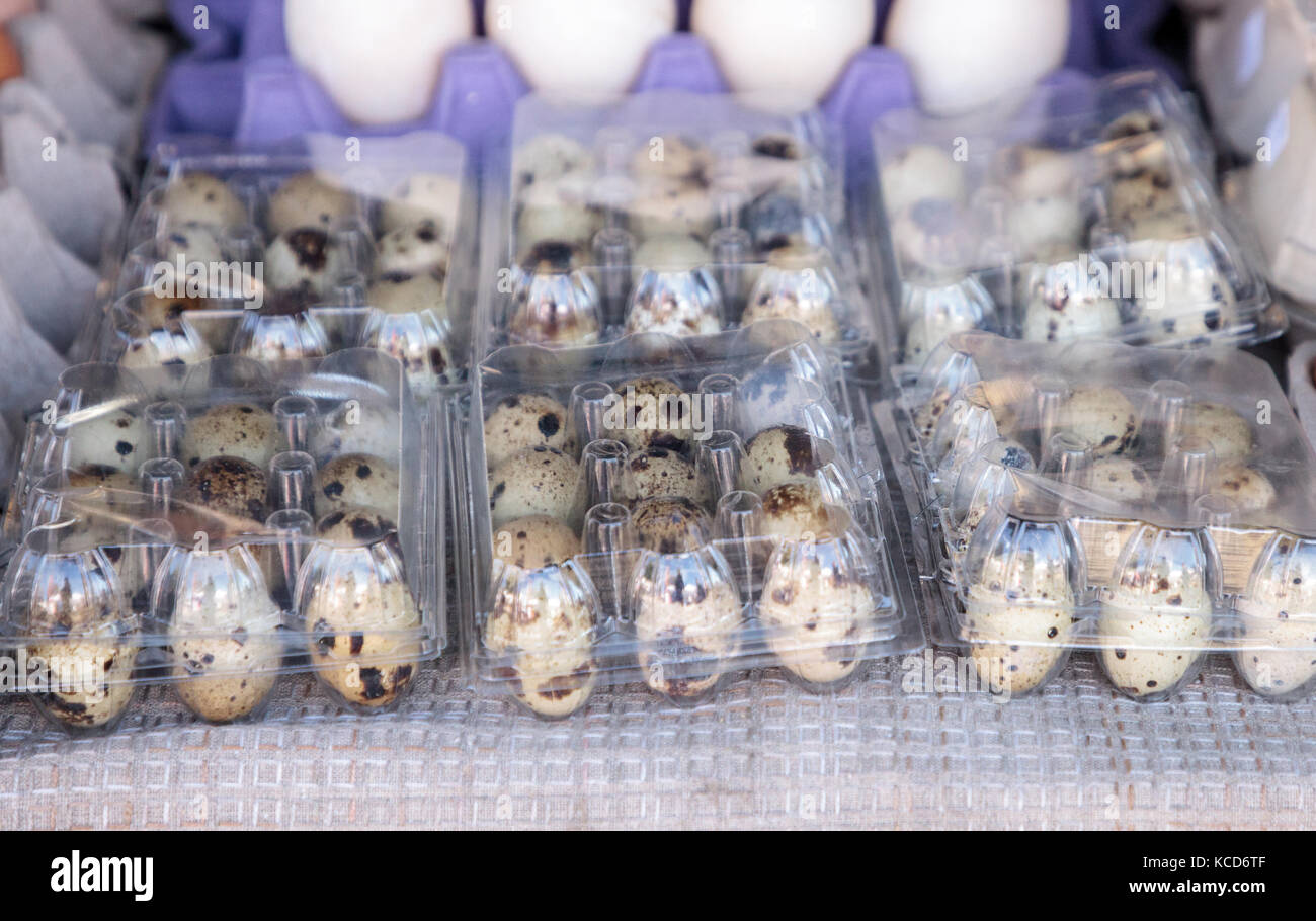 Small Egg Crates of speckled quail eggs at a local farmers market Stock Photo