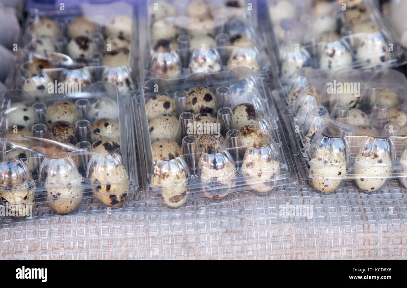 Small Egg Crates of speckled quail eggs at a local farmers market Stock