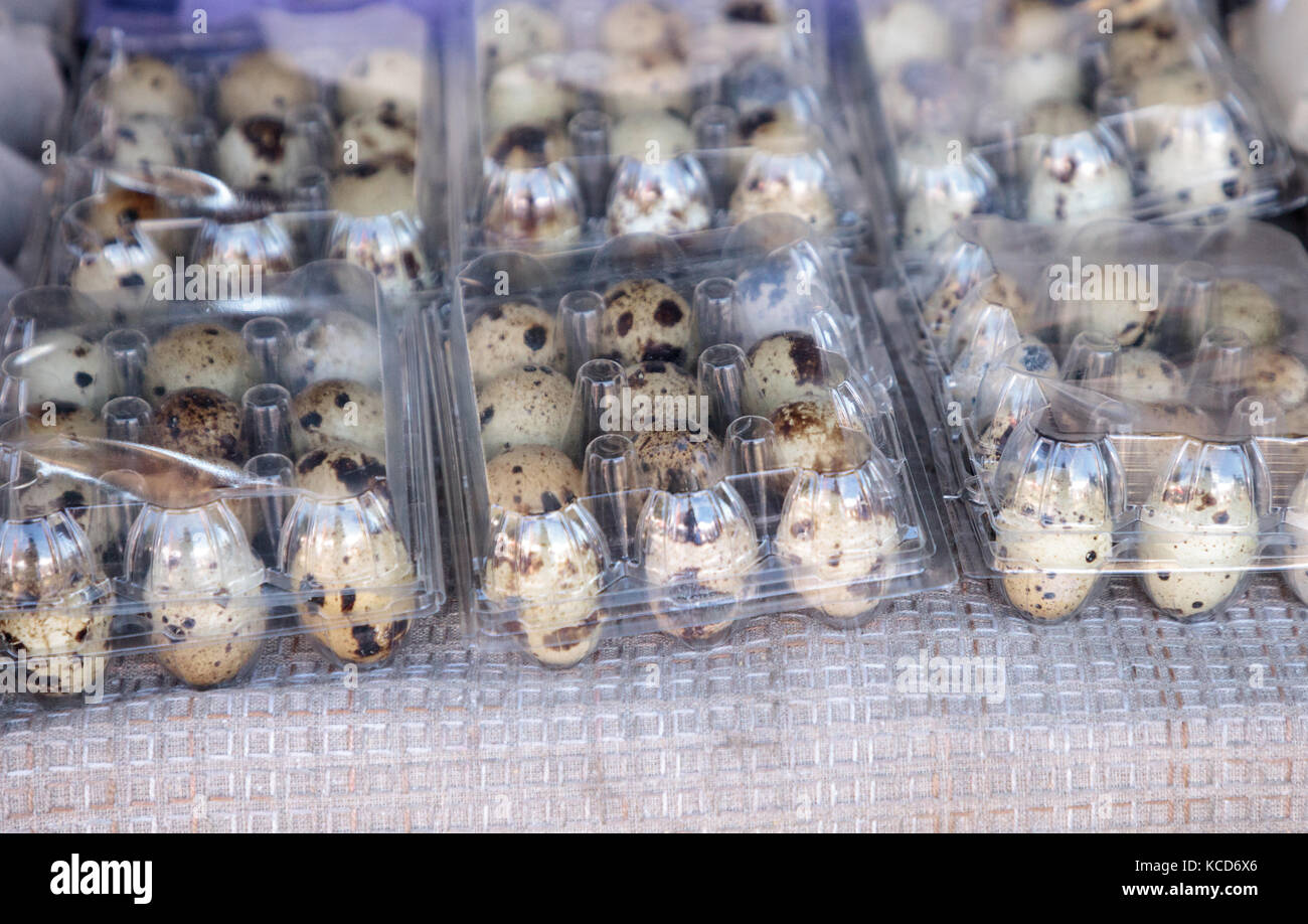 Small Egg Crates of speckled quail eggs at a local farmers market Stock Photo