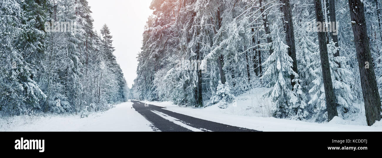 Asphalt road in snowy winter on beautiful day Stock Photo - Alamy