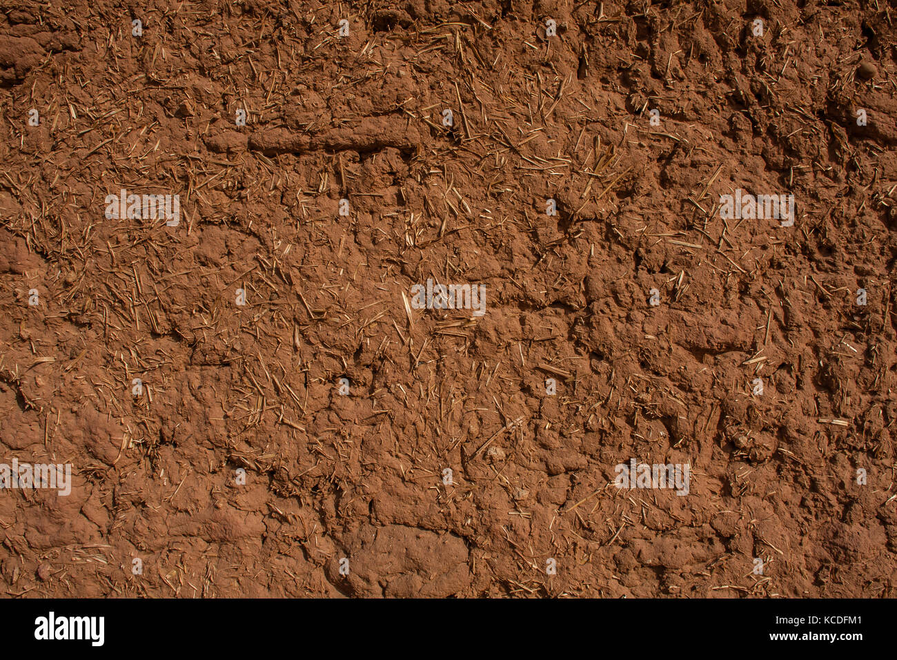 A fragment of a wall of a traditional mud house, Riyadh Province, Saudi Arabia Stock Photo