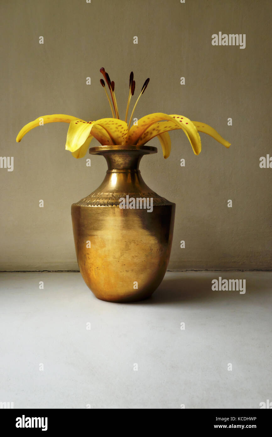yellow lily in a vintage indian copper jar on a simple background Stock Photo