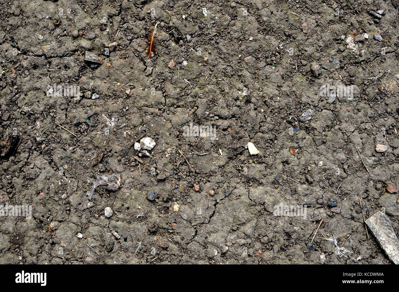 Background or texture of soil in rural. Black earth, humus. Top view