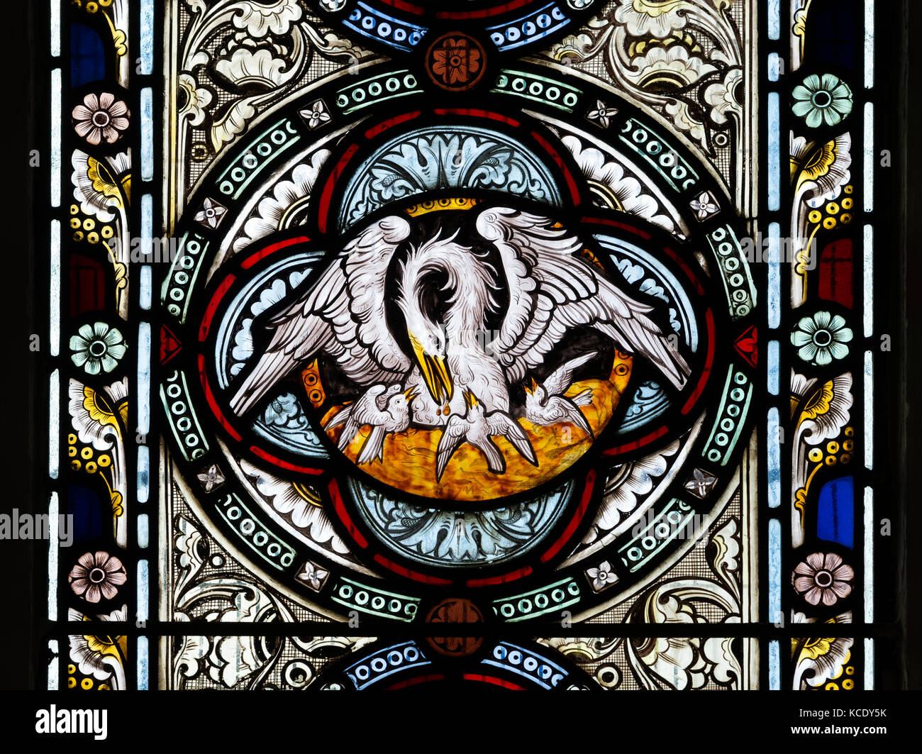 Pelican in its piety stained glass, St. John the Baptist Church, Abthorpe, Northamptonshire, England, UK Stock Photo