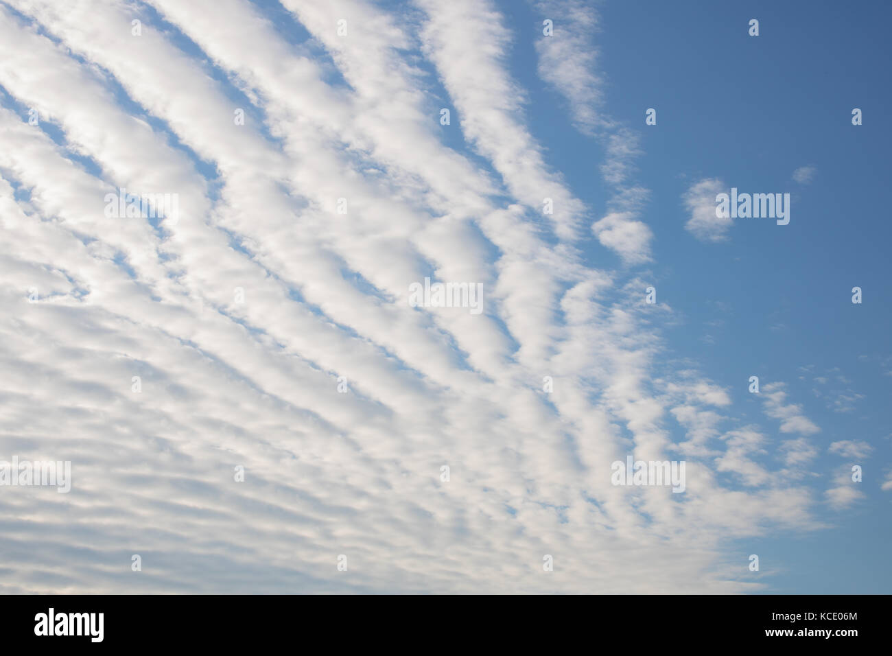 Altocumulus stratiformis undulatus clouds Stock Photo