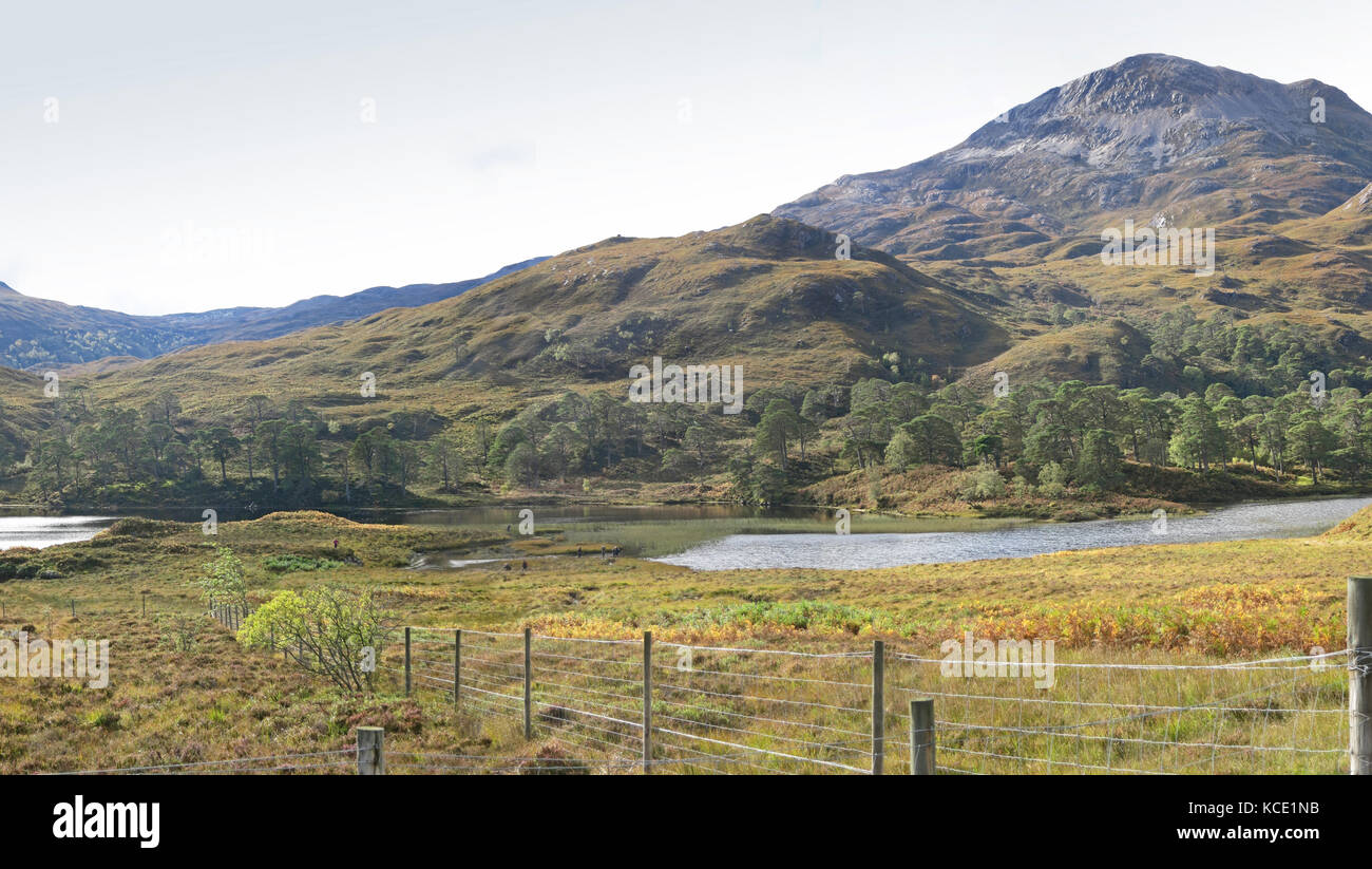 Glen Torridon the Scottish Highlands. View south showing Loch Clair Stock Photo