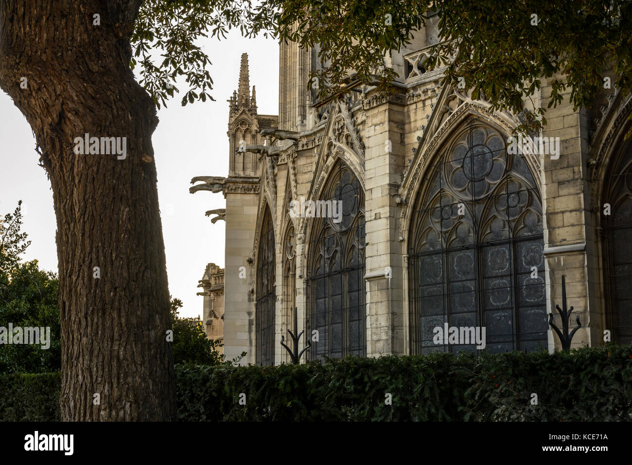 Detail view of the buttresses, pinnacles and gargoyles of the chancel of Notre-Dame de Paris cathedral at sunset. Stock Photo