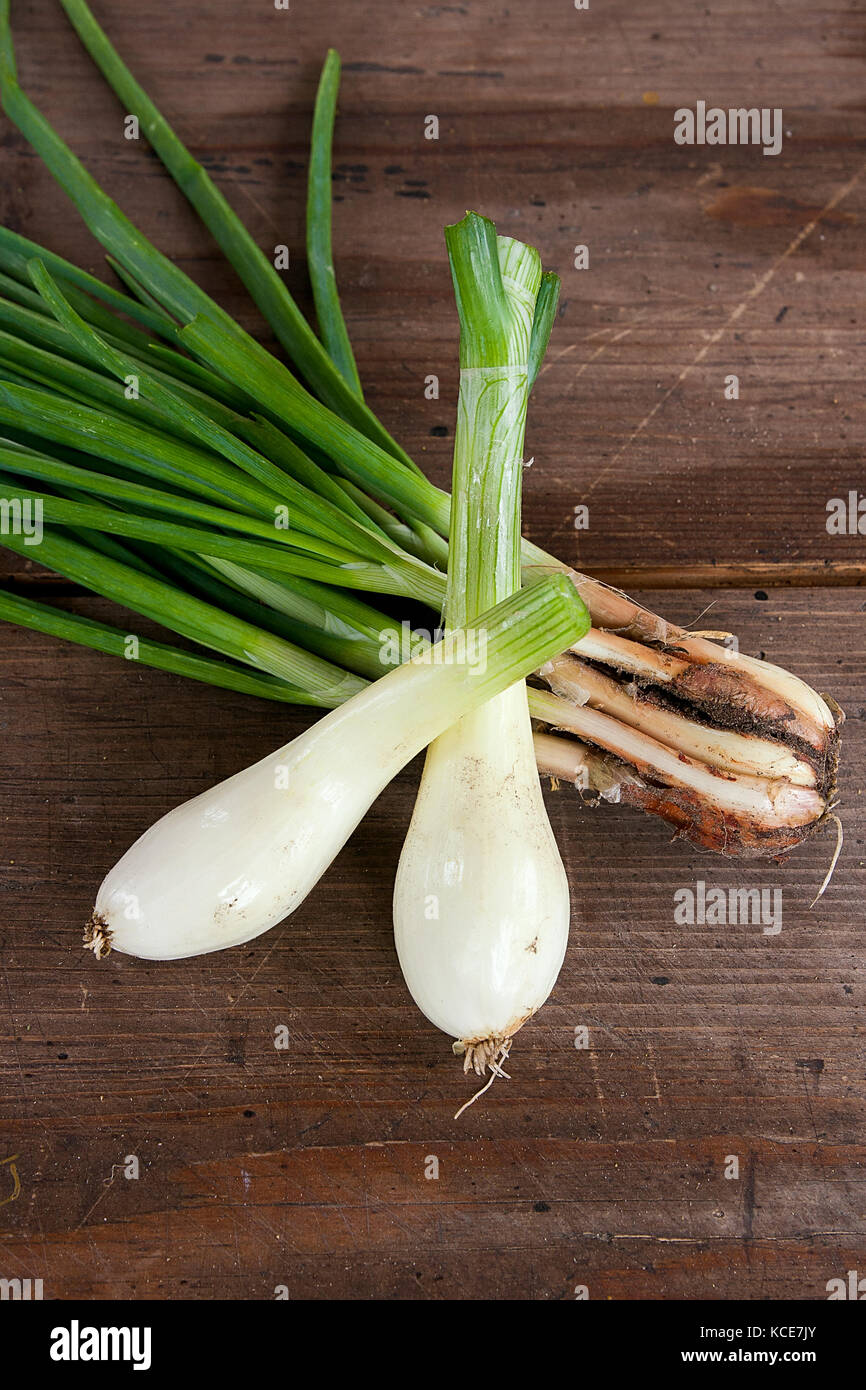 Spring onions are rich in vitamins,minerals and natural compound. Green