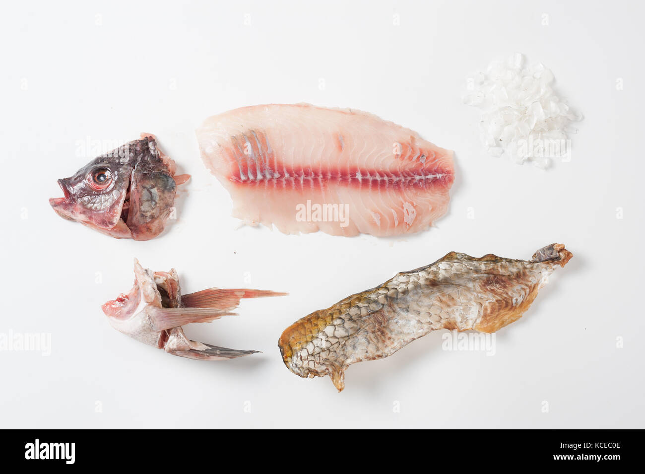 Components of Thai Tilapia (Tilapia nilotica) including head, meat