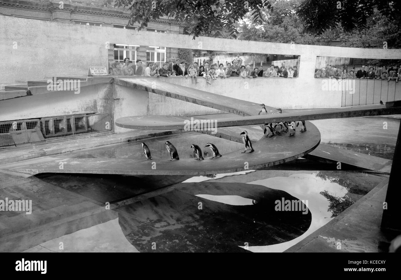 Penguin Pool, Zoological Gardens, Regents Park, London. The pool was designed in the Modernist style by the Tecton architectural firm and was built in Stock Photo