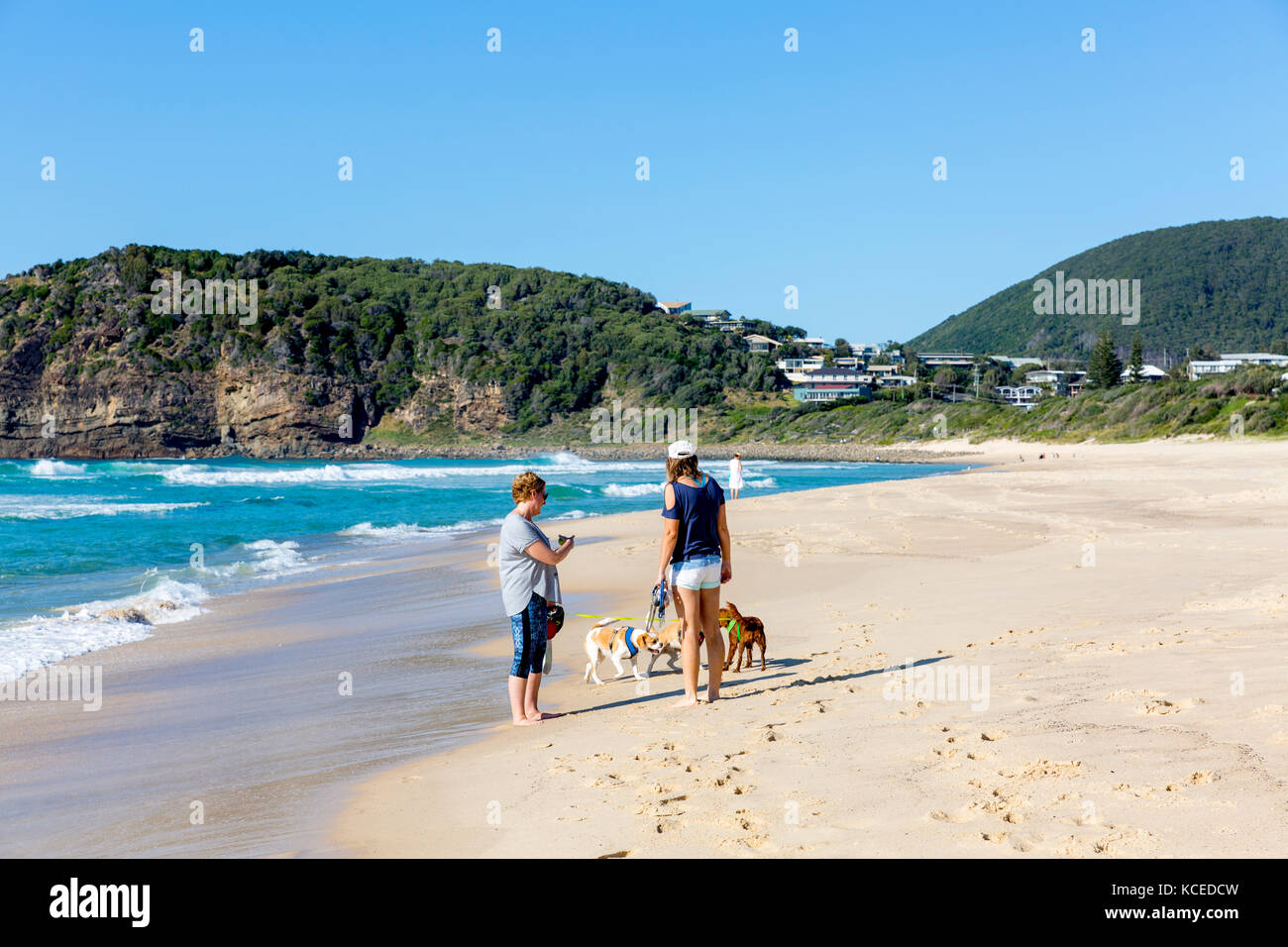 Two ladies walking with their dogs on Boomerang beach on the mid north