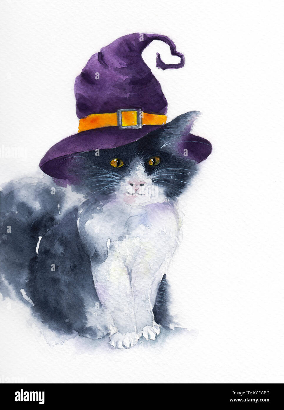 The Cute Cat With Purple Witch Hat Watercolor Illustration Background For Halloween Concept