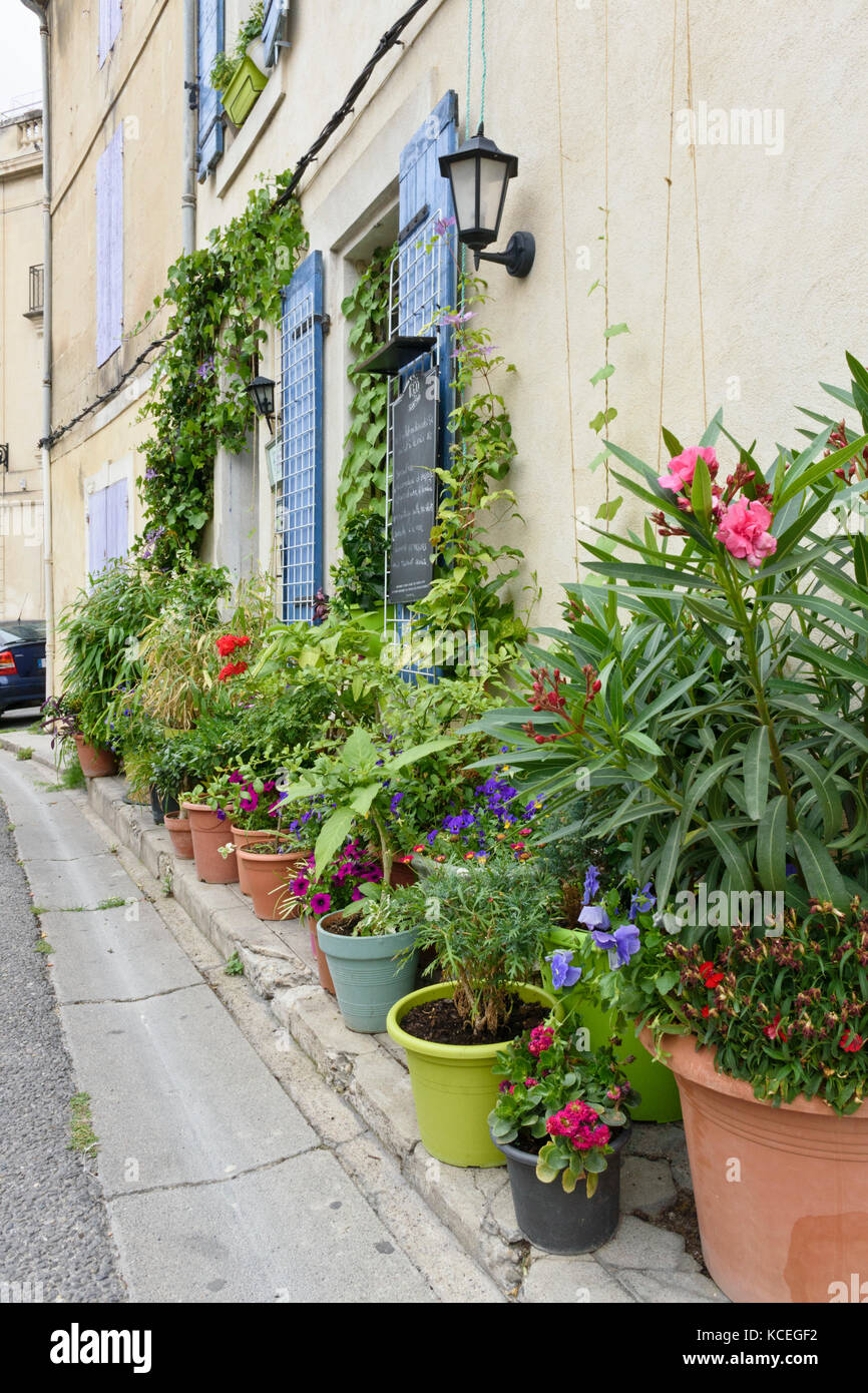Container garden, Arles, France Stock Photo