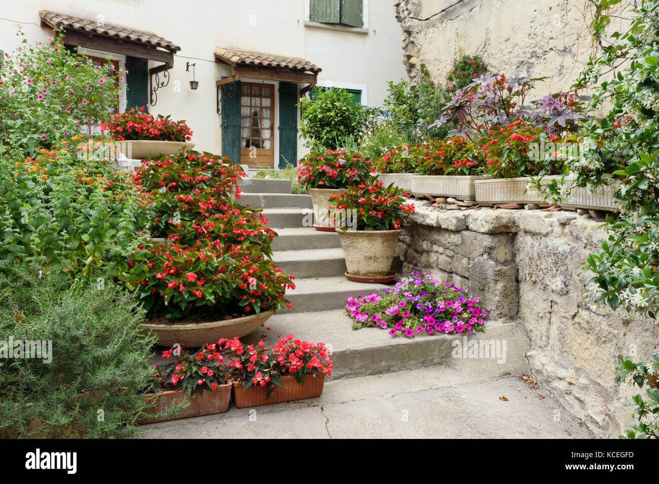 Begonias (Begonia) in flower boxes and flower pots, Arles, France Stock Photo