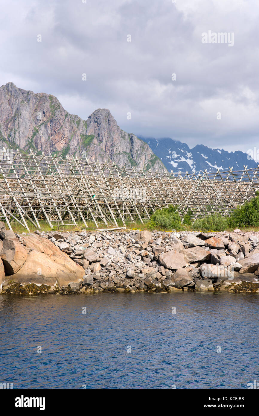 overview of racks for drying stockfish at Lofoten in Norway Stock Photo ...