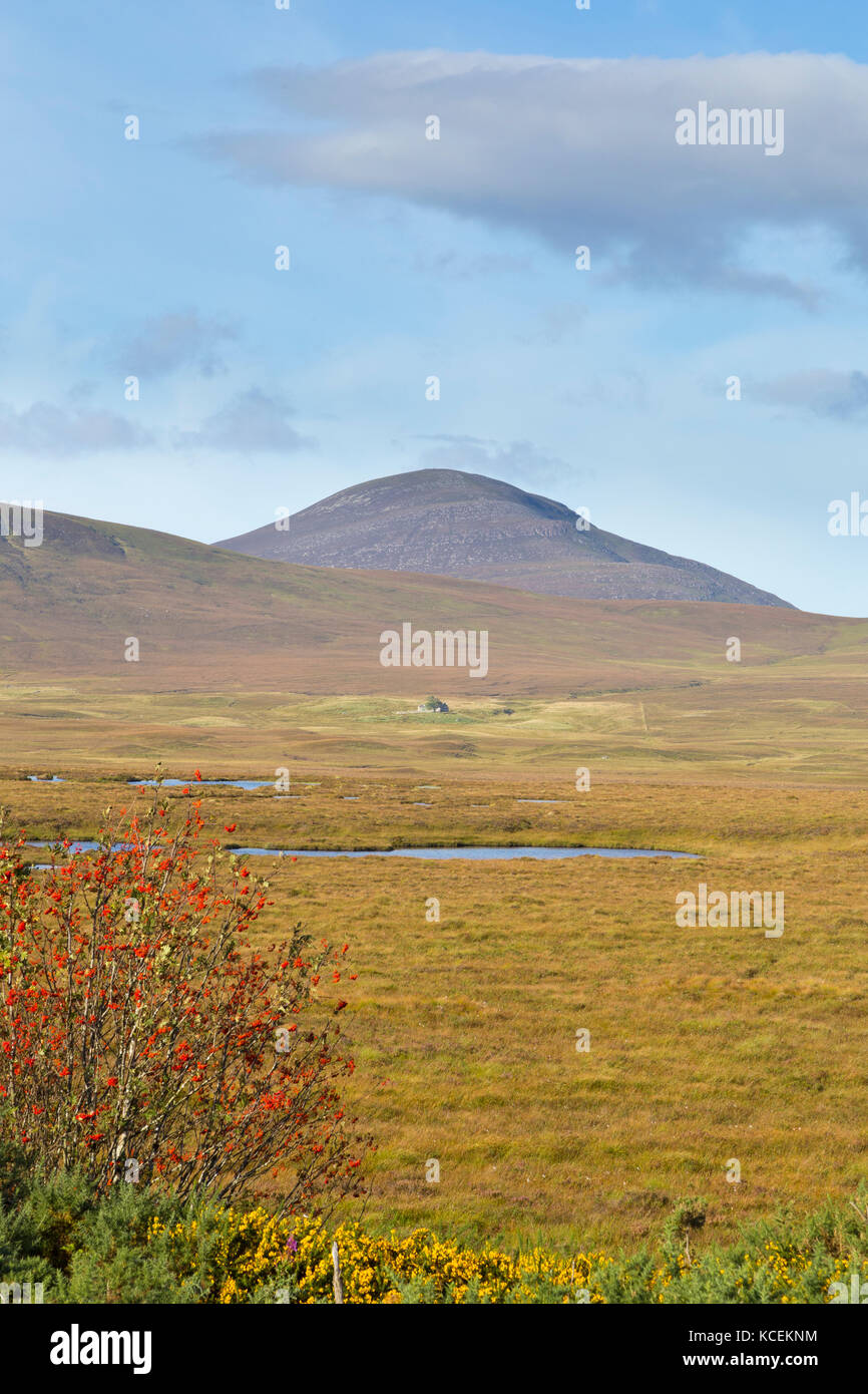 Caithness blanket bog Stock Photo Alamy
