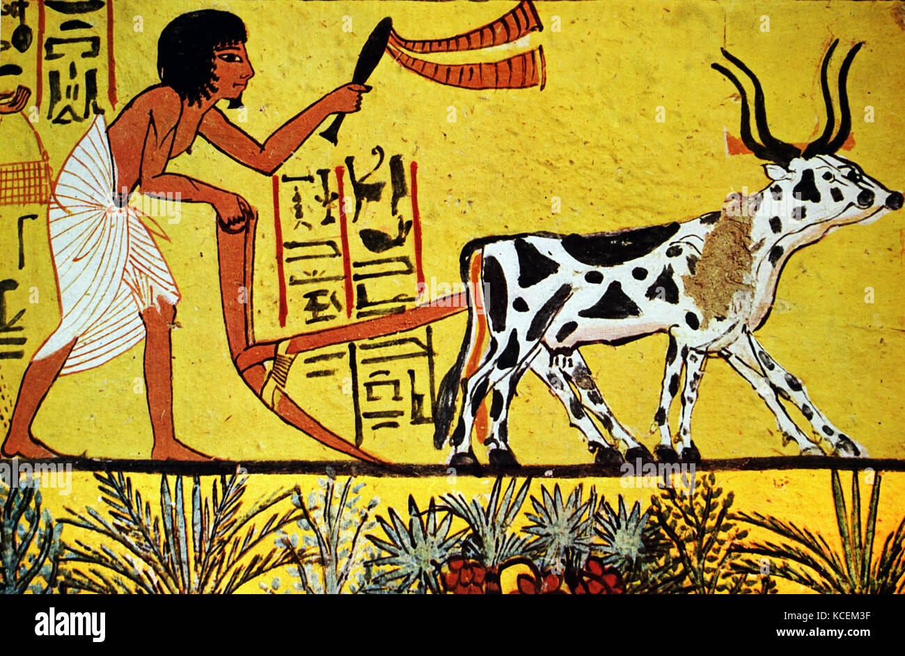 Fresco depicting an agricultural scene from an ancient Egyptian tomb. Dated 13th Century BC Stock Photo