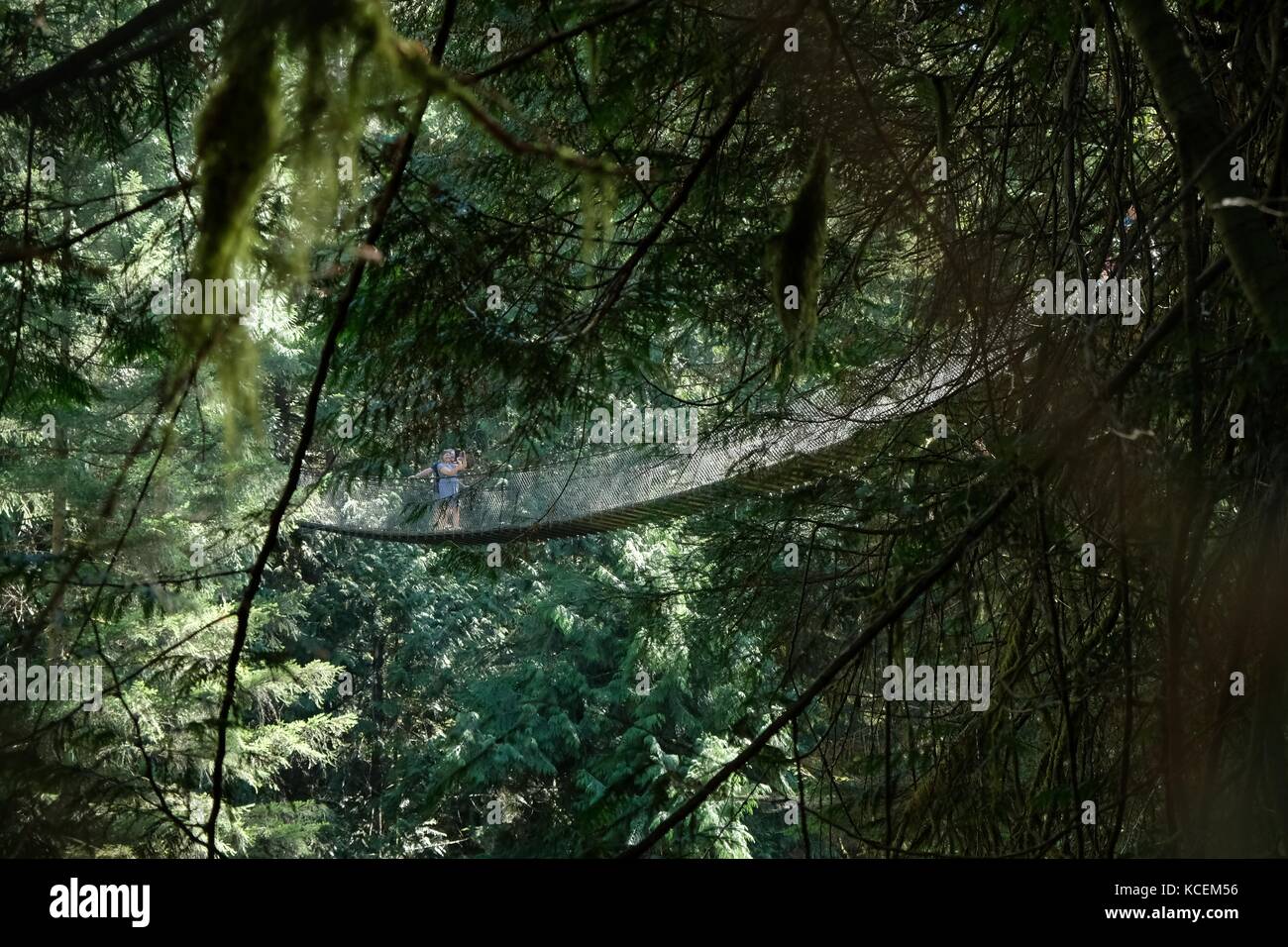 A couple cross the suspension bridge in Lynn Canyon Park near Vancouver in British Columbia, Canada. Stock Photo