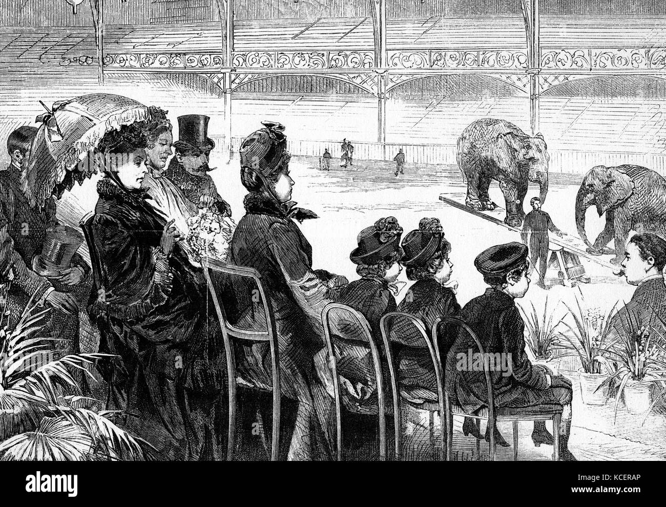 Engraving depicting the royal visit of Queen Victoria (1819-1901) with some of her grandchildren, to the Circus at Olympia, London. Dated 19th Century Stock Photo