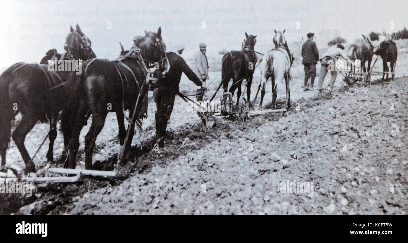 Jewish settlers farming in Palestine, circa 1910 Stock Photo