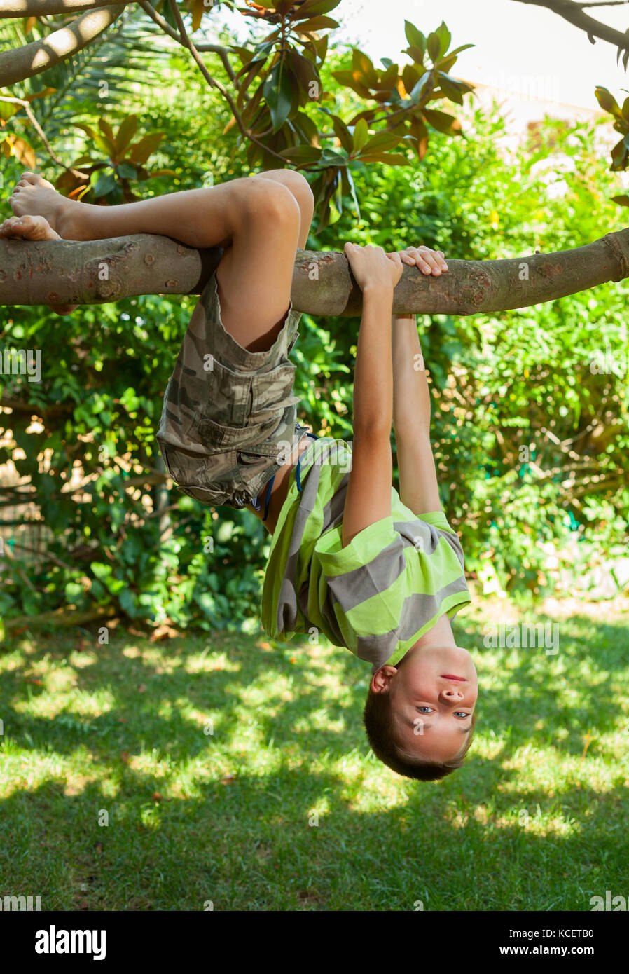 Boy hanging from a tree branch in a summer garden Stock Photo