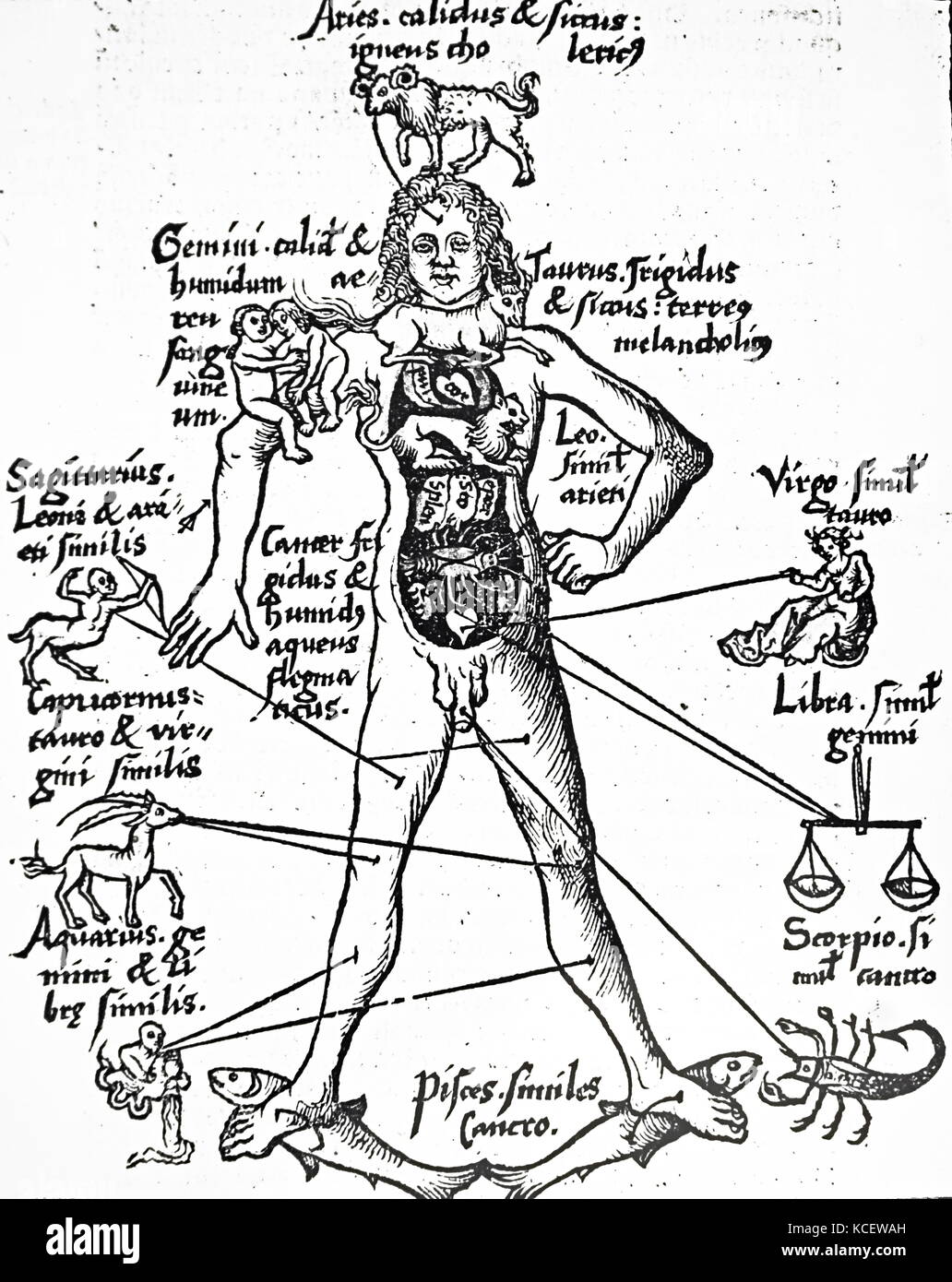Illustration depicting a bloodletting man, showing the points of the