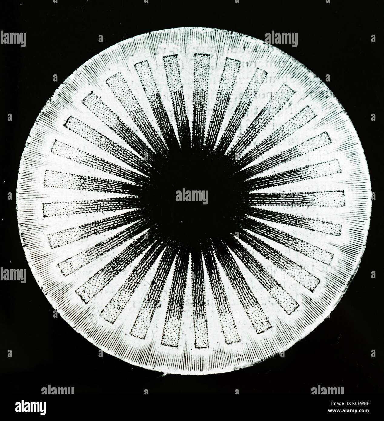 The first appearance of divine light in the darkness that existed in the beginning by Robert Fludd (1574-1637) an English Paracelsian physician with both scientific and occult interests. Dated 17th Century Stock Photo