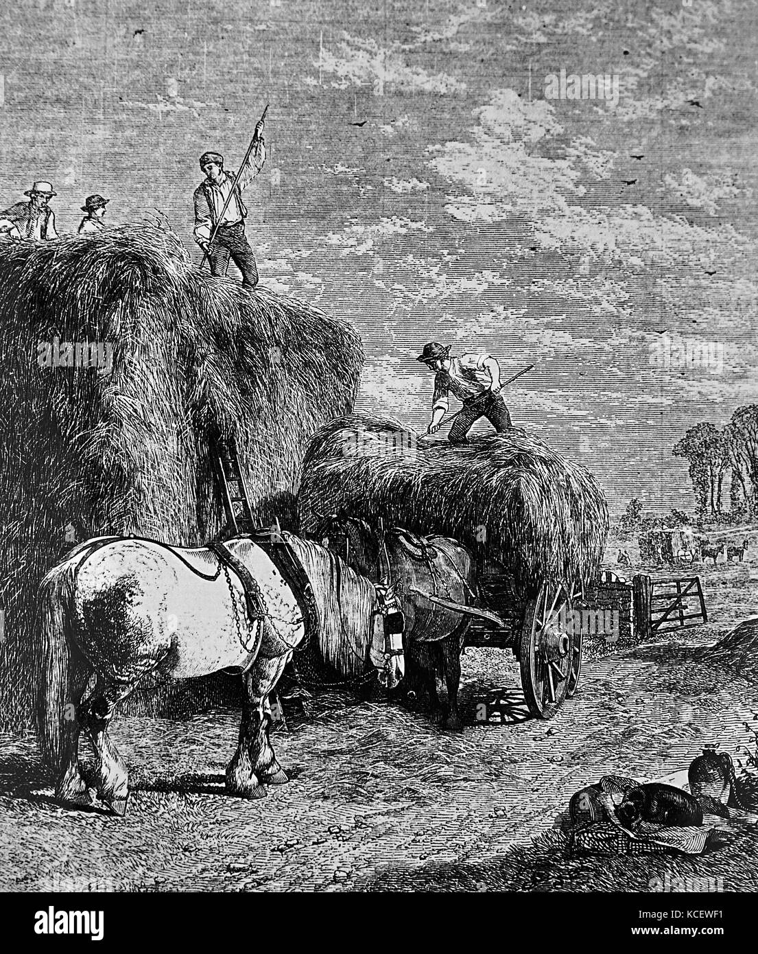 Dunning, extra dry 1892