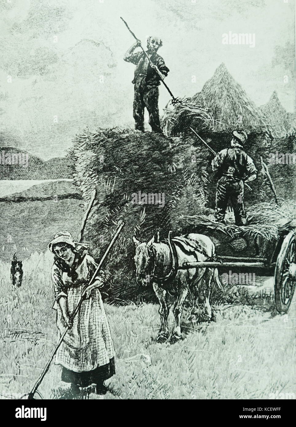 Engraving depicting the stacking of the harvest in the West Highlands. Dated 19th Century Stock Photo