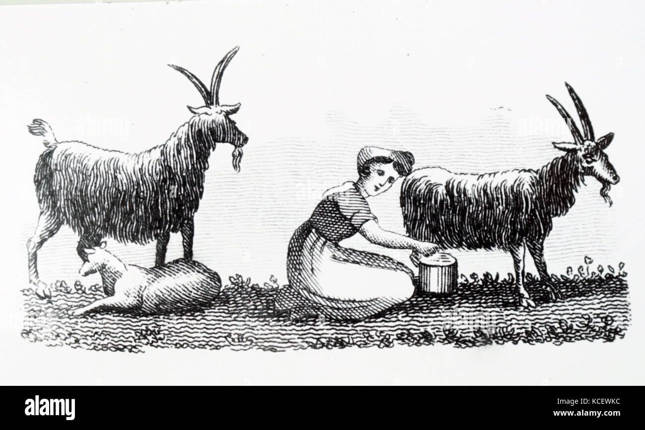 19th century milkmaid hires stock photography and images Alamy