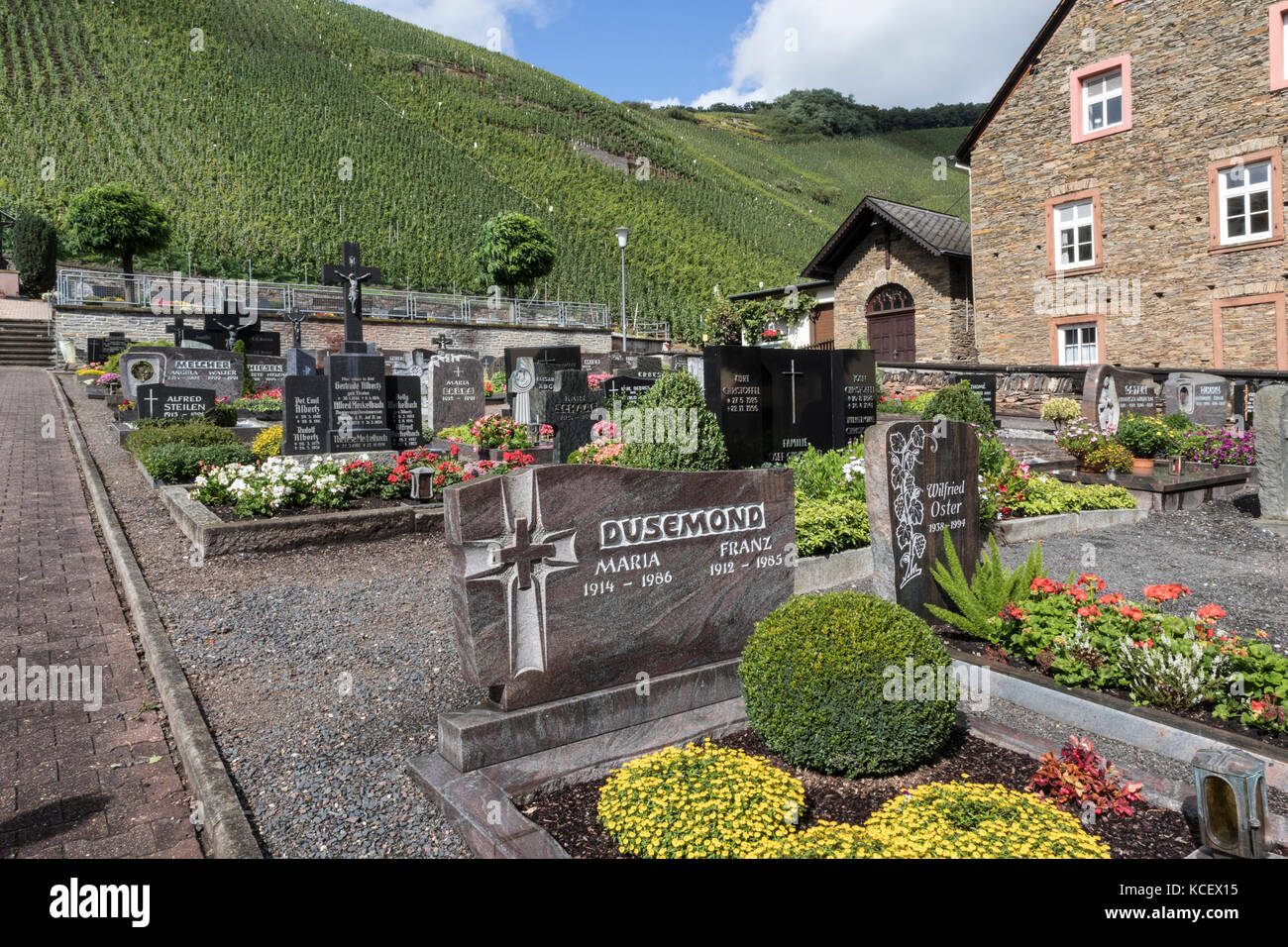 Graveyard in the town of Urzig, in the Mosel Valley, Germany, with Riesling vineyards in the background Stock Photo