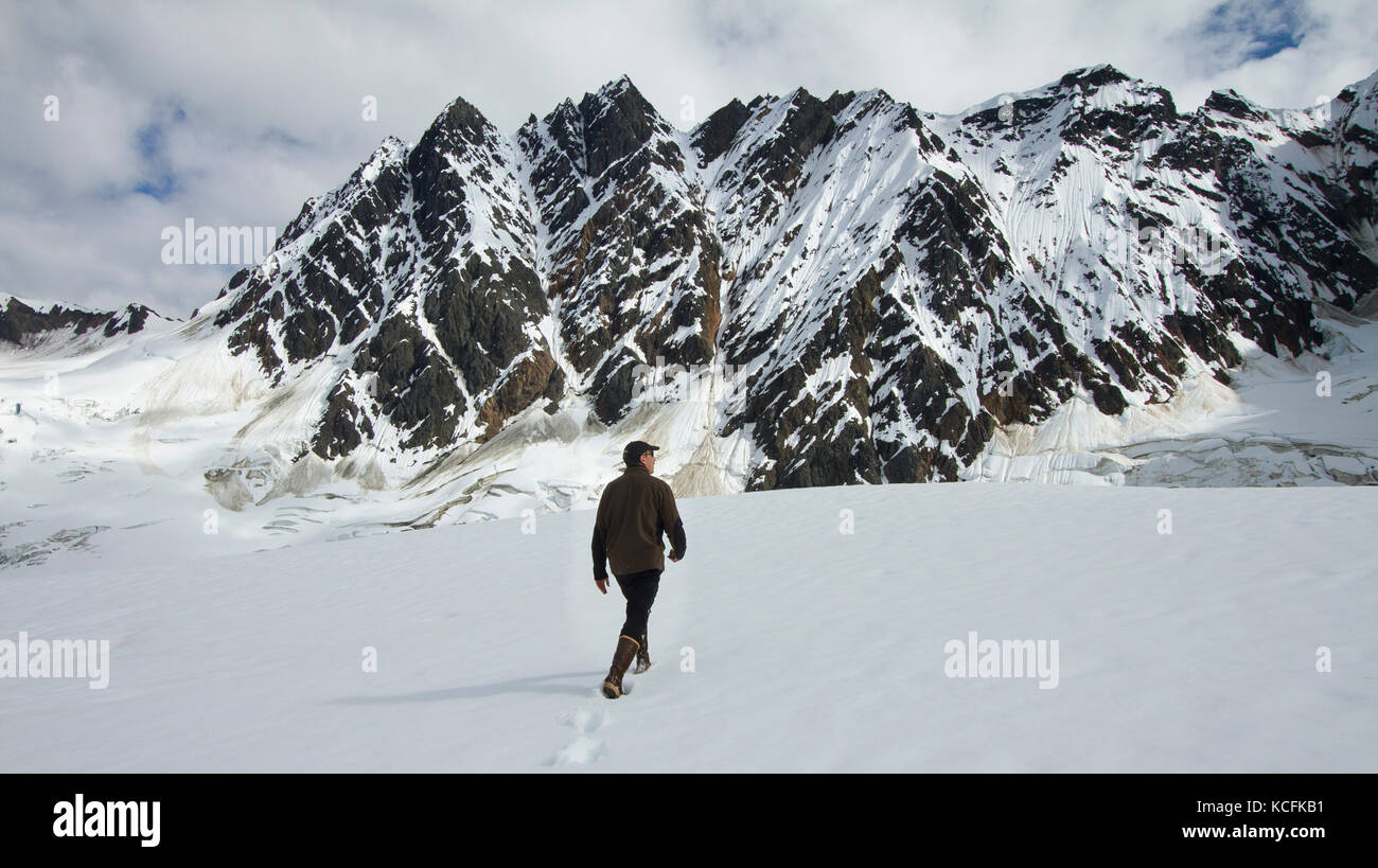 Man alpine hiking at Porcupine Creek, Alaska, USA Stock Photo Alamy