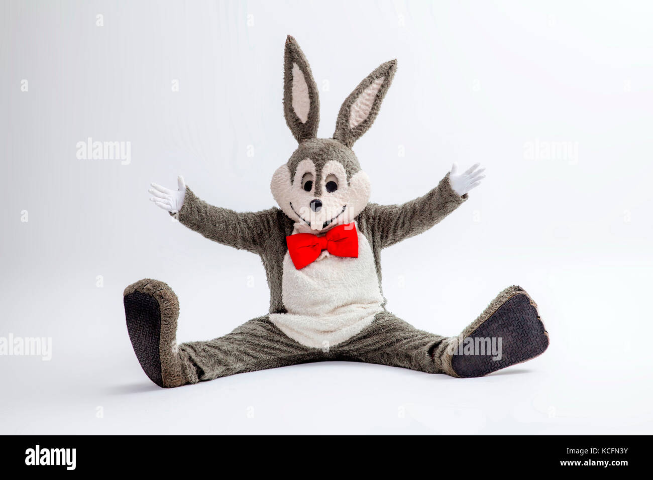 Doll, plush, rabbit Stock Photo - Alamy