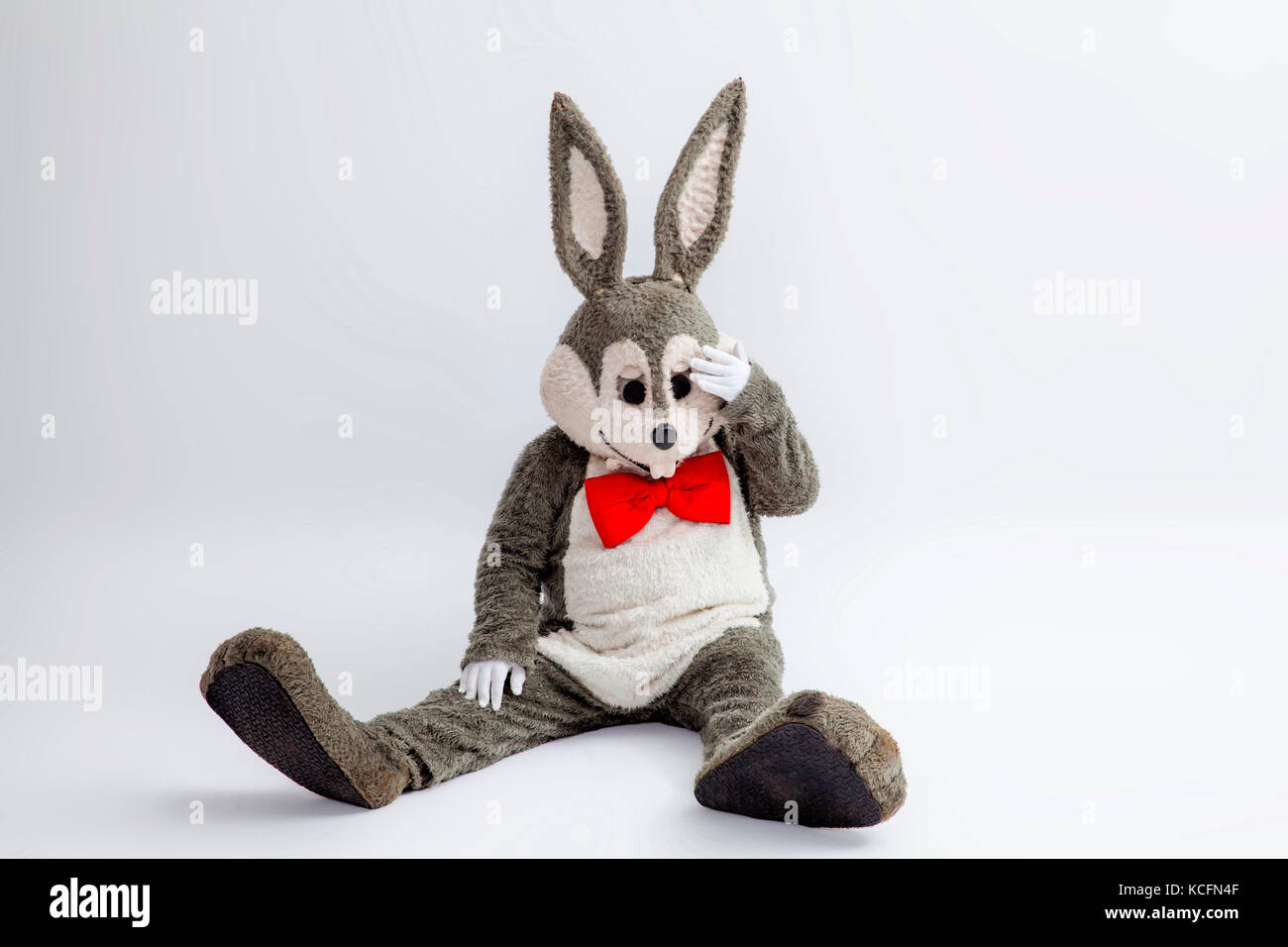 Doll, plush, rabbit Stock Photo - Alamy