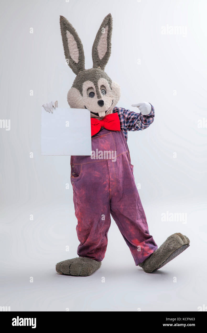 Doll, plush, rabbit Stock Photo - Alamy