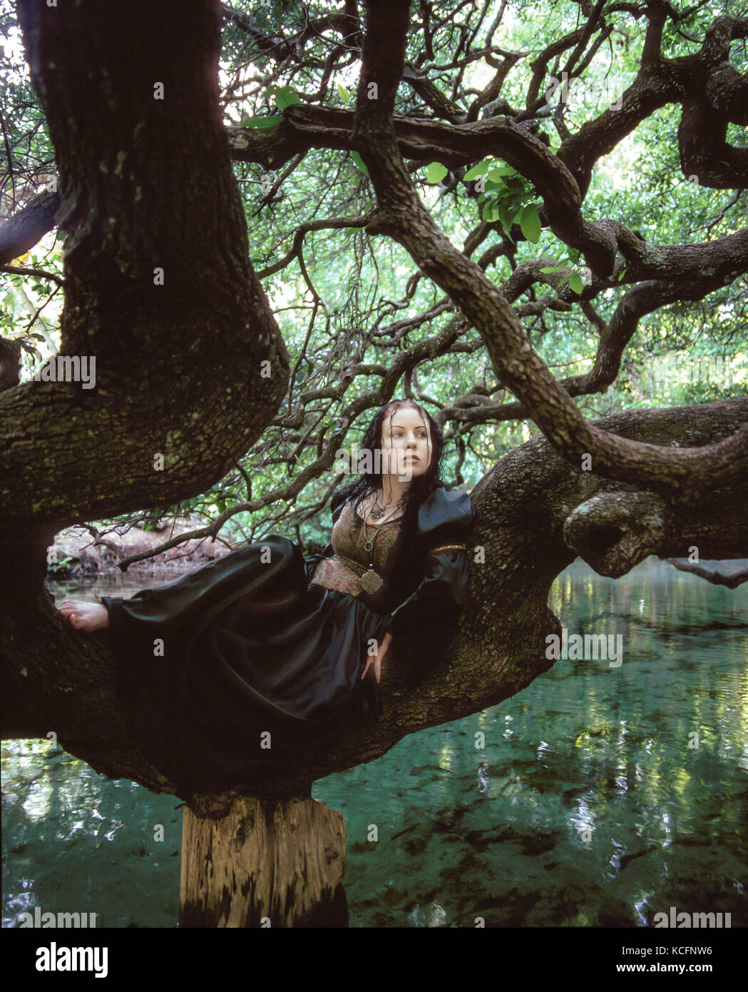 Girl in gothic period dress sitting on Oak limb overhanging blue water. Stock Photo