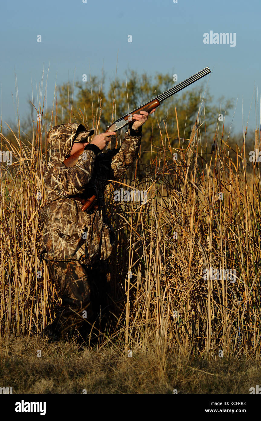 A・B・フロスト、「DUCK SHOOTING FROM A BLIND」 Hunting from a boat blind for our final duck hunt! Crushed