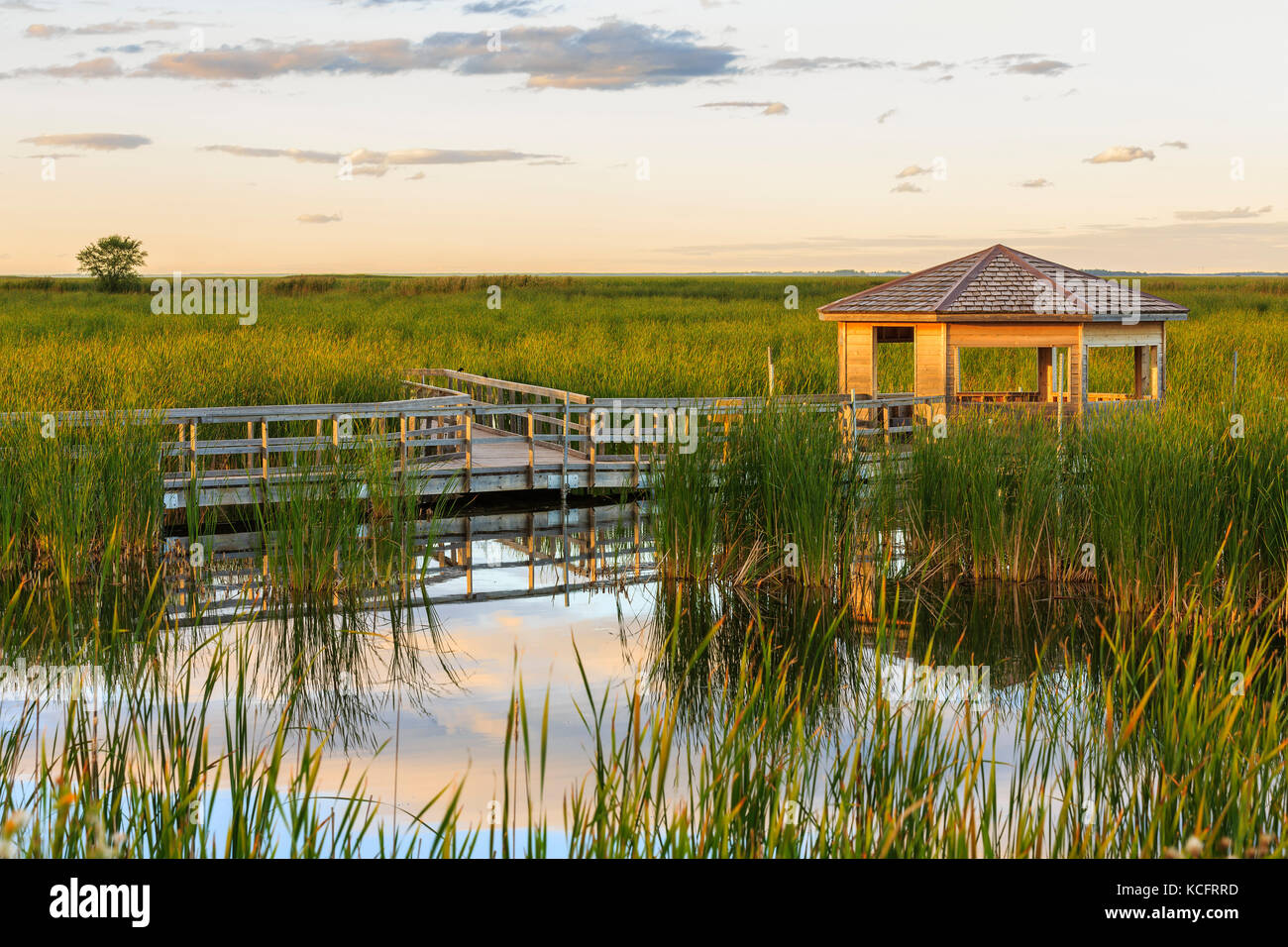 Wildlife viewing blind, Oak Hammock Marsh, Manitoba, Canada Stock Photo