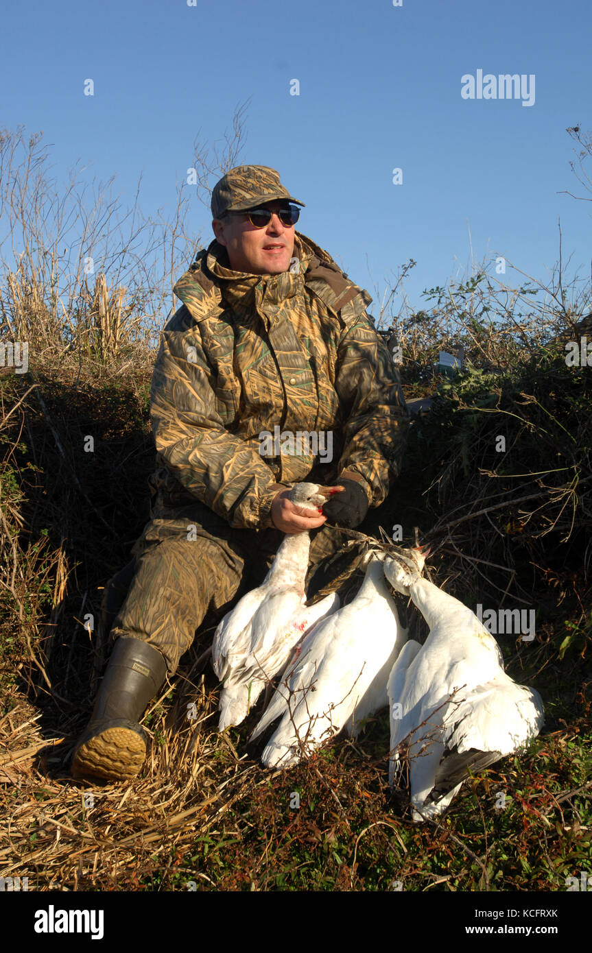 Goose hunter hunting snow geese on a rice field levy near Harwood Texas