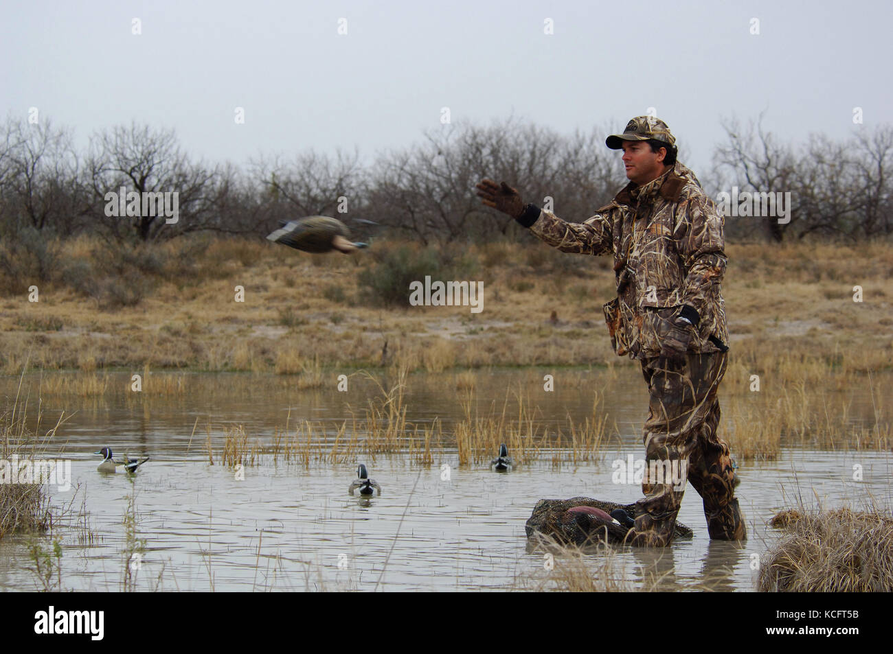 Discover more than 128 duck hunting bag limits 3tdesign.edu.vn