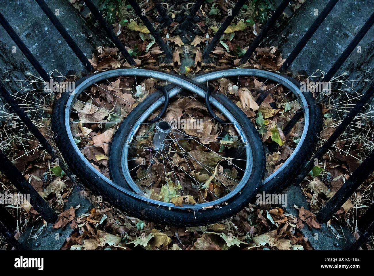 Repeated reflected symmetry hi-res stock photography and images - Alamy