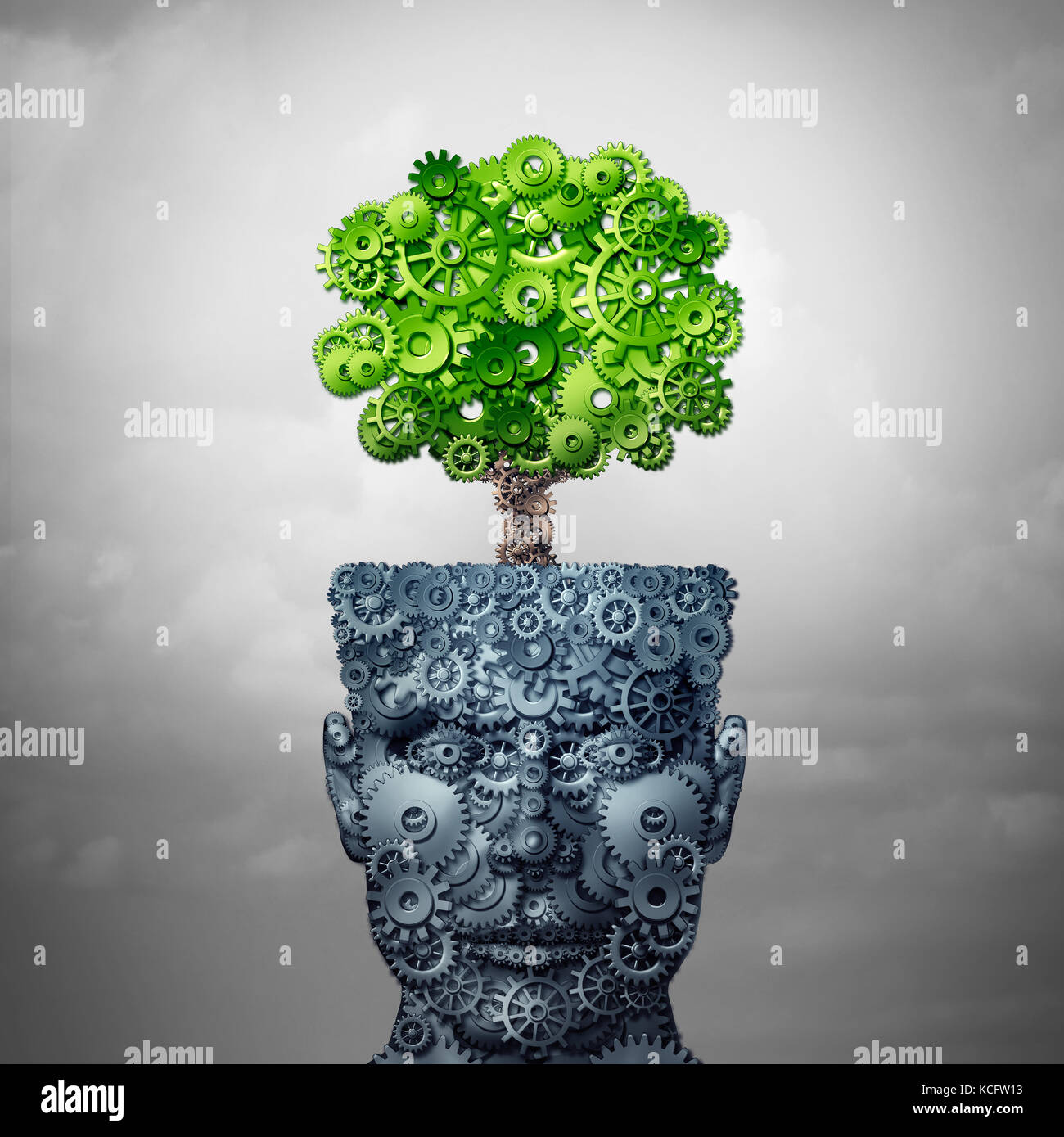 Human growth development hi-res stock photography and images - Alamy