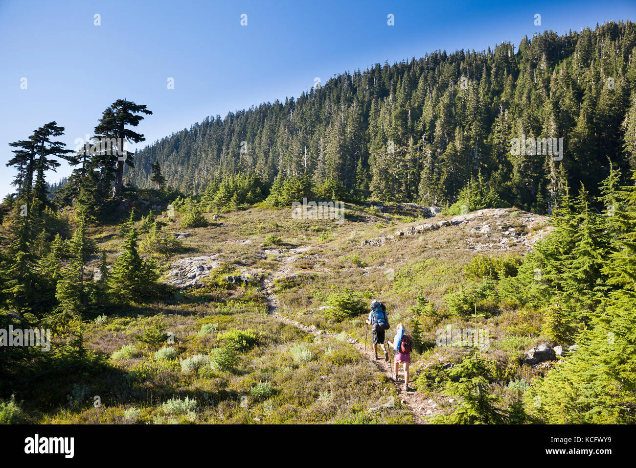 A young man and woman hike along the trail at Cobalt Lake on route to 5040 Peak in the Alberni-Clayoquot region on Vancouver Island, BC, Canada. Stock Photo